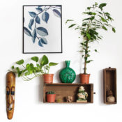 Instagram image